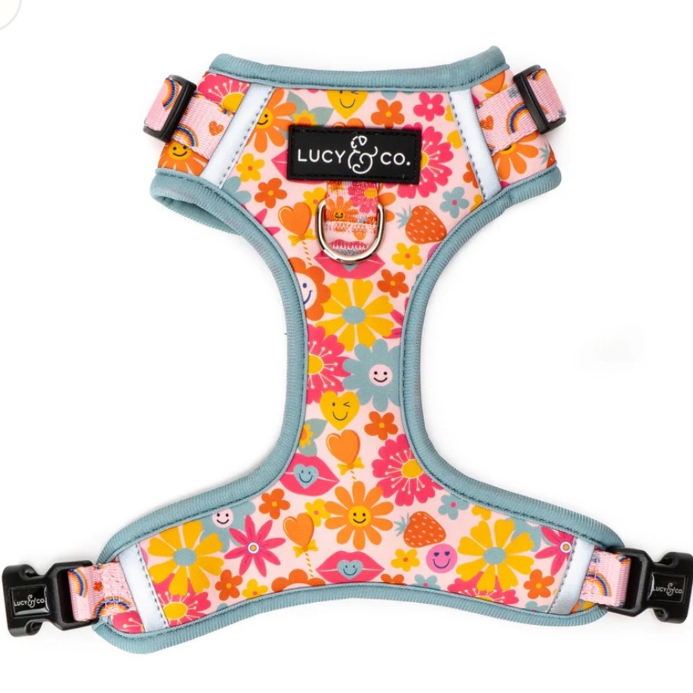 Lucy & Co Y2K Dog Harness